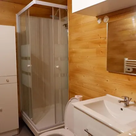 Cosy 2 Les Bains 萨兰莱班